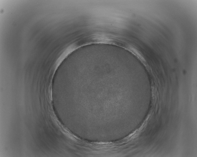 X0000062930891200601181307