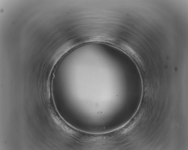 X0000062930892200601181307