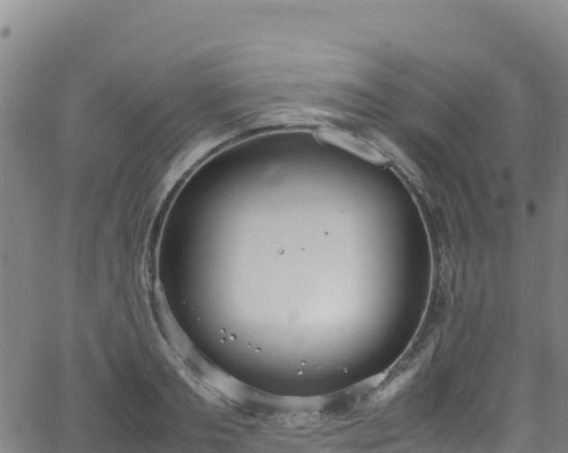 X0000062930893200601181307