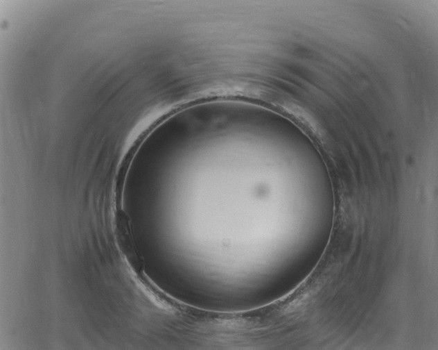 X0000062930894200601181307