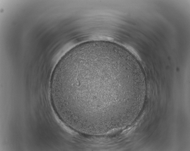 X0000062930895200601181307