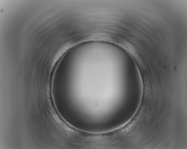 X0000062930896200601181307