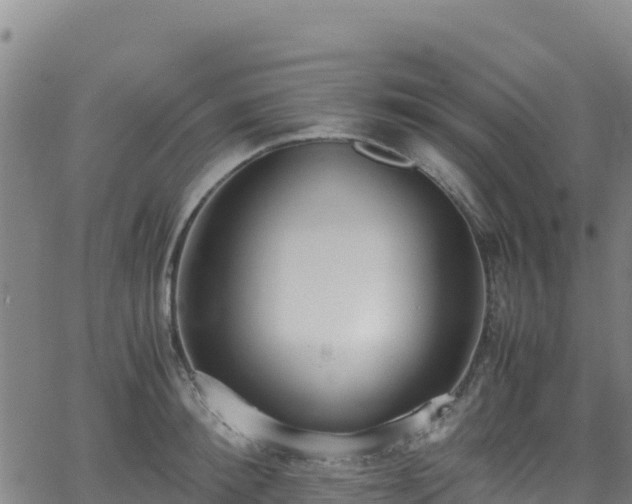 X0000062930900200601181306