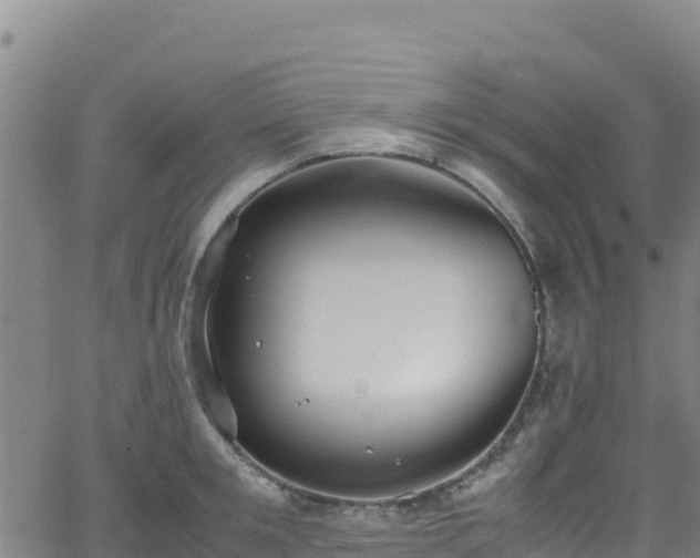 X0000062930901200601181306