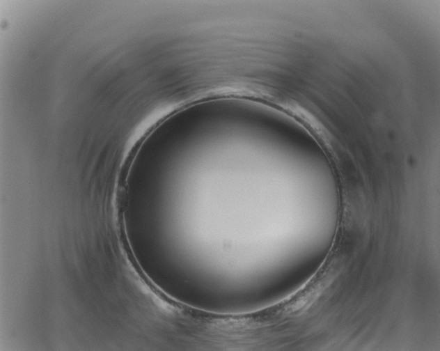 X0000062930902200601181306