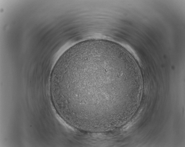 X0000062930903200601181306