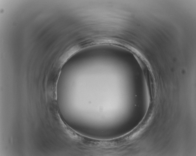 X0000062930905200601181306