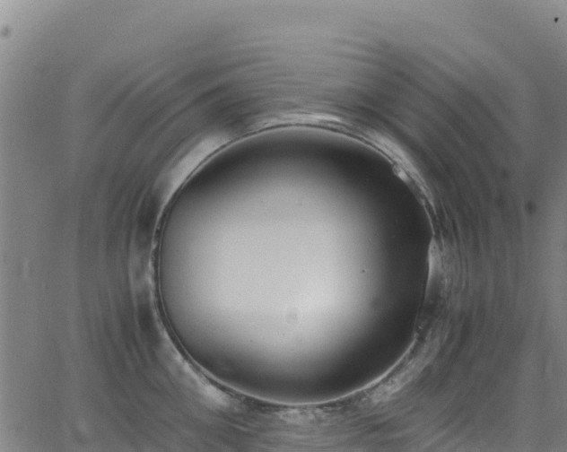 X0000062930906200601181306