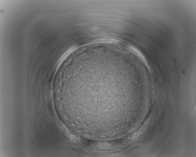 X0000062930907200601181306