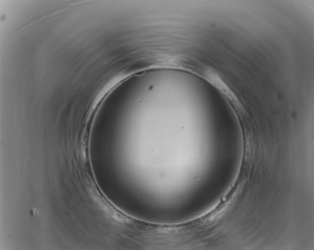 X0000062930908200601181306