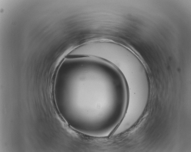 X0000062930909200601181306