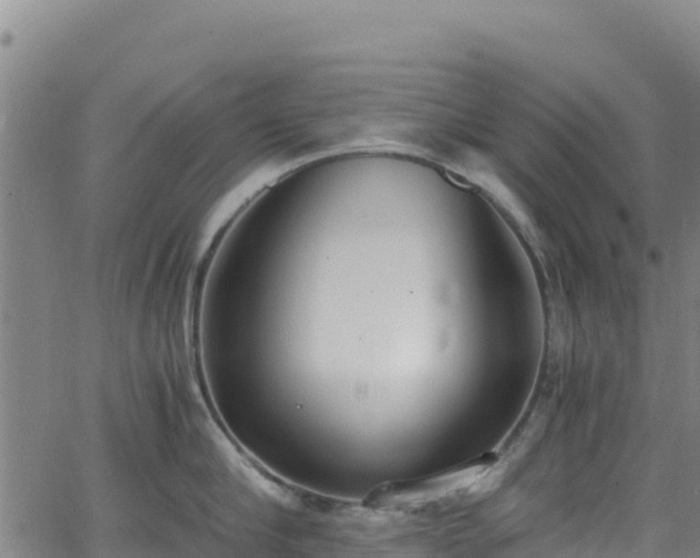 X0000062930910200601181306