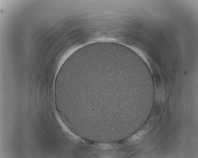 X0000062930911200601181306