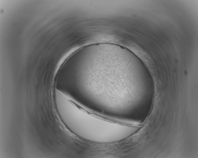 X0000062930912200601181306