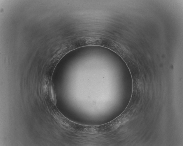 X0000062930914200601181306