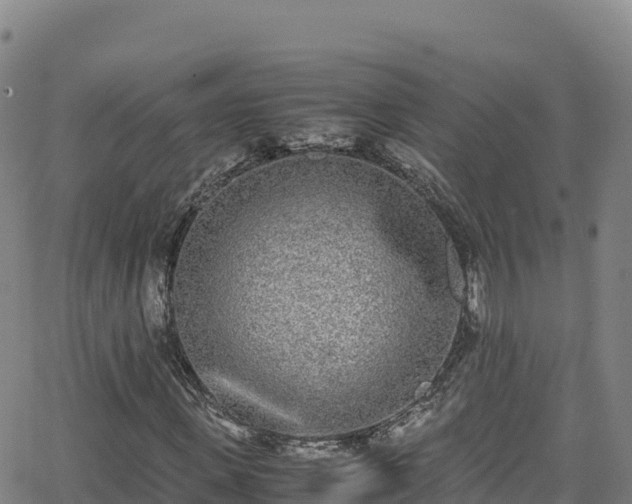 X0000062930915200601181306