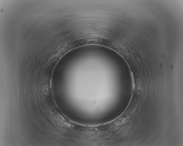 X0000062930916200601181306