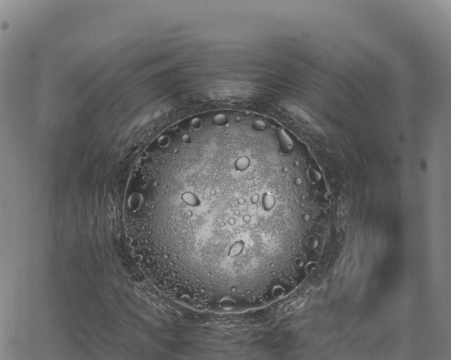 X0000062930917200601181306