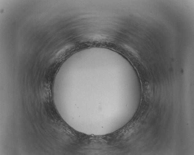 X0000062930918200601181306