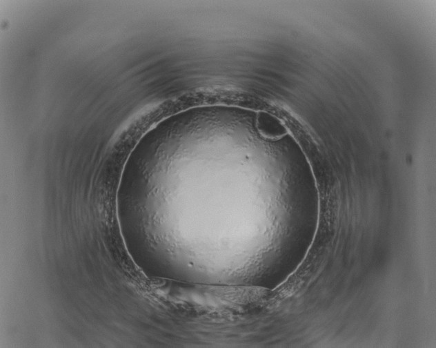 X0000062930919200601181306