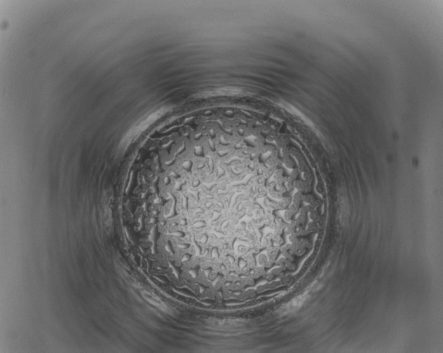 X0000062930921200601181306