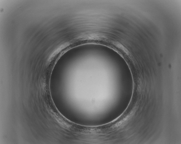 X0000062930922200601181306