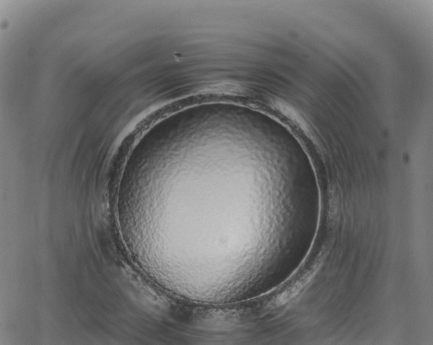 X0000062930923200601181306