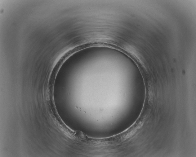 X0000062930924200601181306