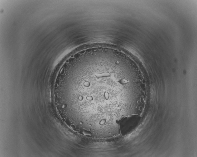 X0000062930925200601181306