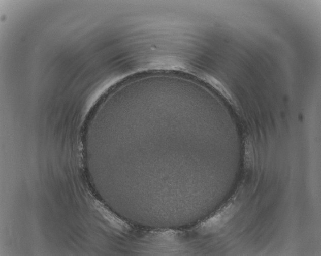 X0000062930926200601181306