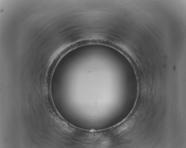 X0000062930927200601181306