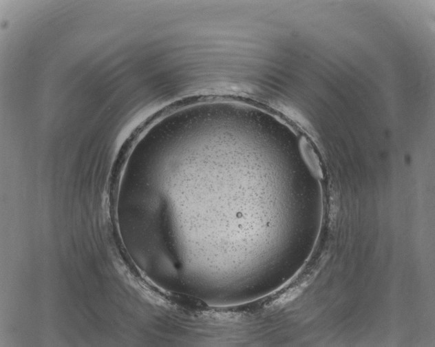 X0000062930928200601181306