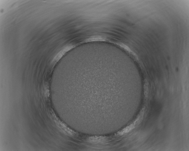 X0000062930929200601181306