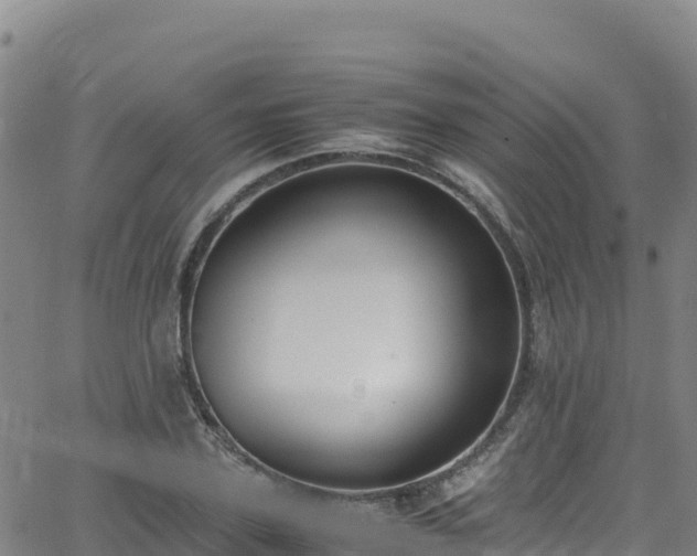 X0000062930931200601181306