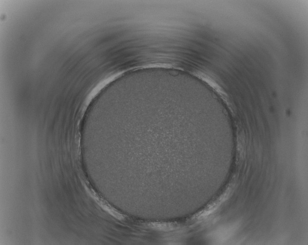 X0000062930933200601181306