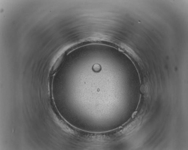 X0000062930934200601181306