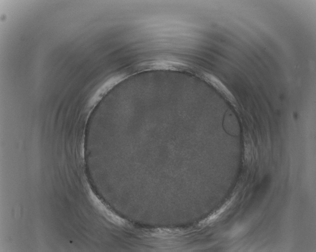 X0000062930938200601181306