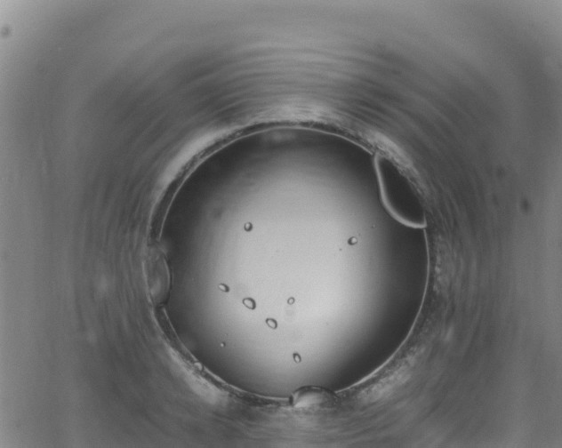 X0000062930942200601181306