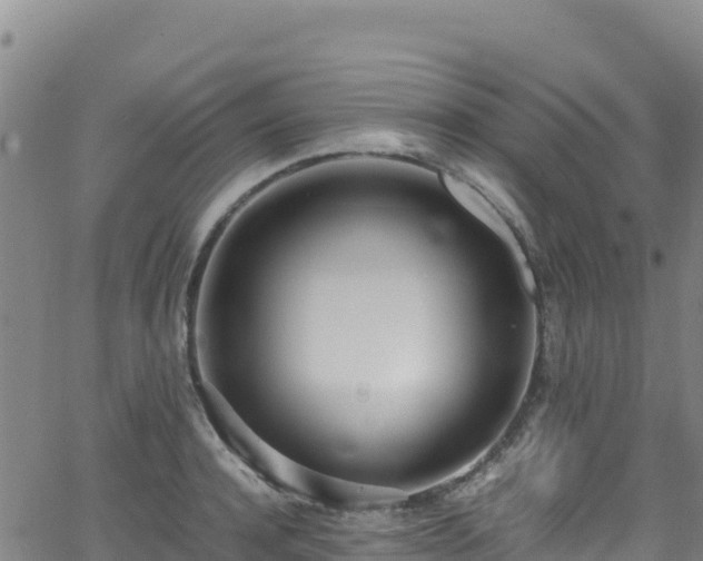 X0000062930944200601181306