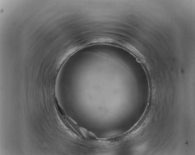 X0000062930945200601181306