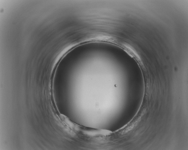 X0000062930948200601181306