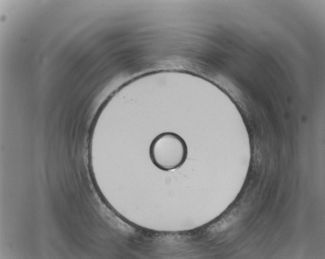 X0000062930950200601181306