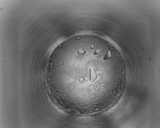 X0000062930953200601181306