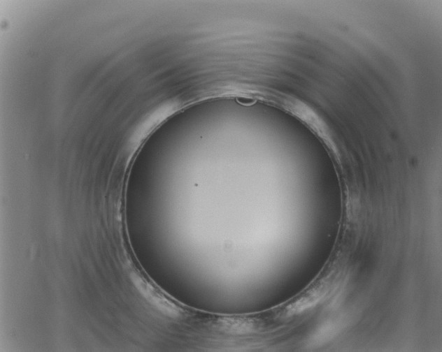 X0000062930954200601181306