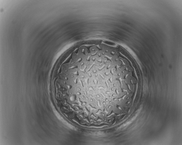 X0000062930957200601181306