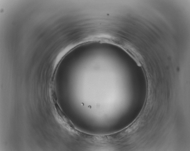 X0000062930960200601181306