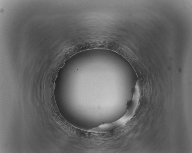 X0000062930961200601181305