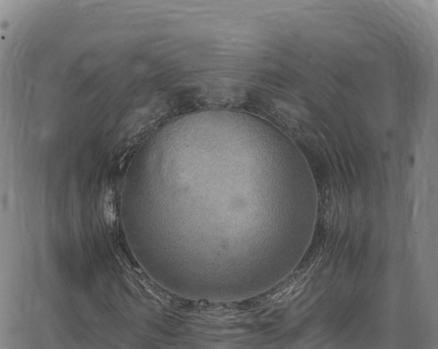 X0000062930962200601181305