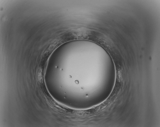 X0000062930963200601181305