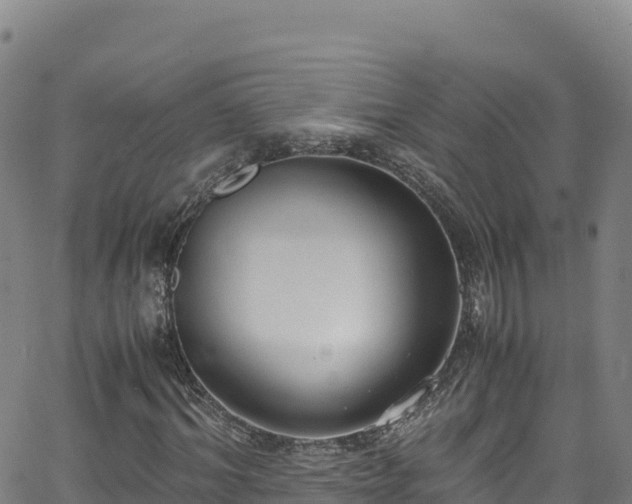 X0000062930964200601181305